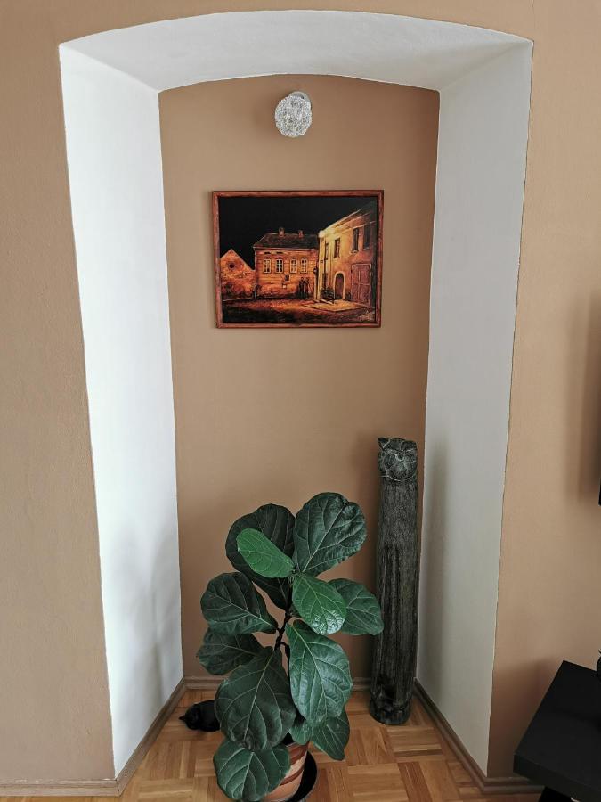 זנוימו Apartman Antoninska מראה חיצוני תמונה
