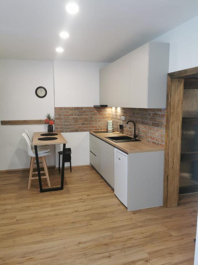 זנוימו Apartman Antoninska מראה חיצוני תמונה