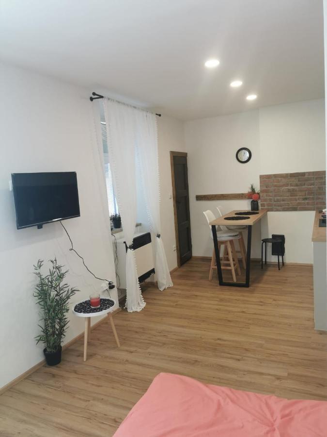 זנוימו Apartman Antoninska מראה חיצוני תמונה