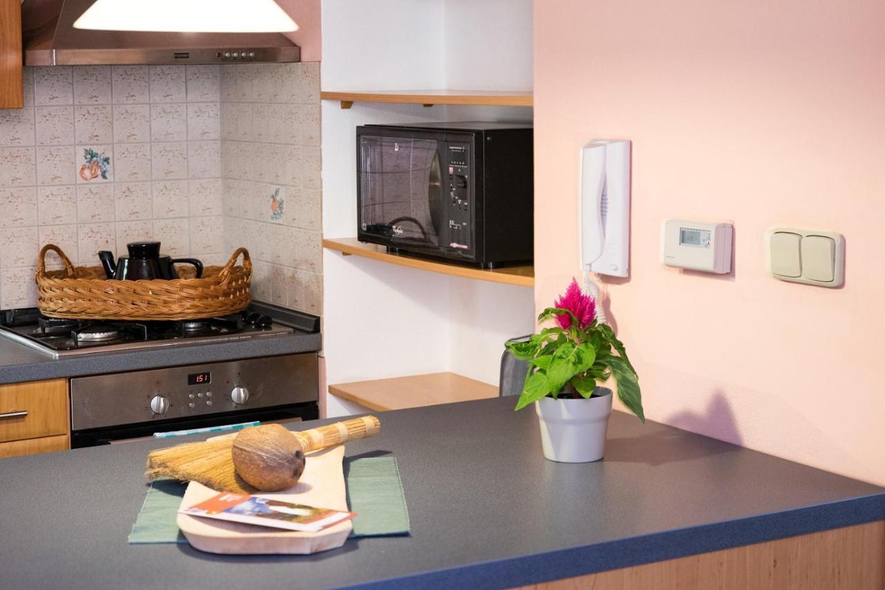 זנוימו Apartman Antoninska מראה חיצוני תמונה